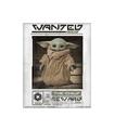 Poster 3D Star Wars (The Mandalorian) Wanted The Child