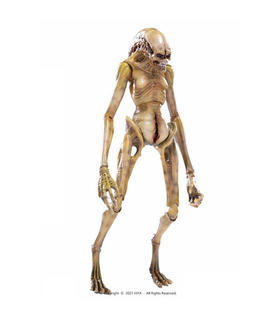 figura-previews-exclusive-the-newborn-alien-resurection-118