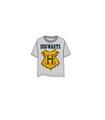 Camiseta Harry Potter Hogwarts Gris Xl